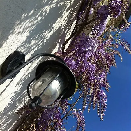 Les Jardins De L'ile